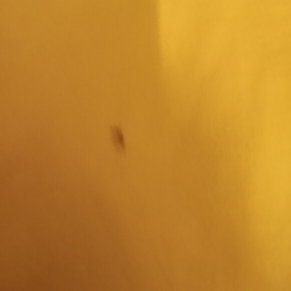 MENS XL YELLOW KERWIN FROST YO QUIERO MI KRT SHIRT RARE SPAGHETTI BOYS - Picture 2 of 8